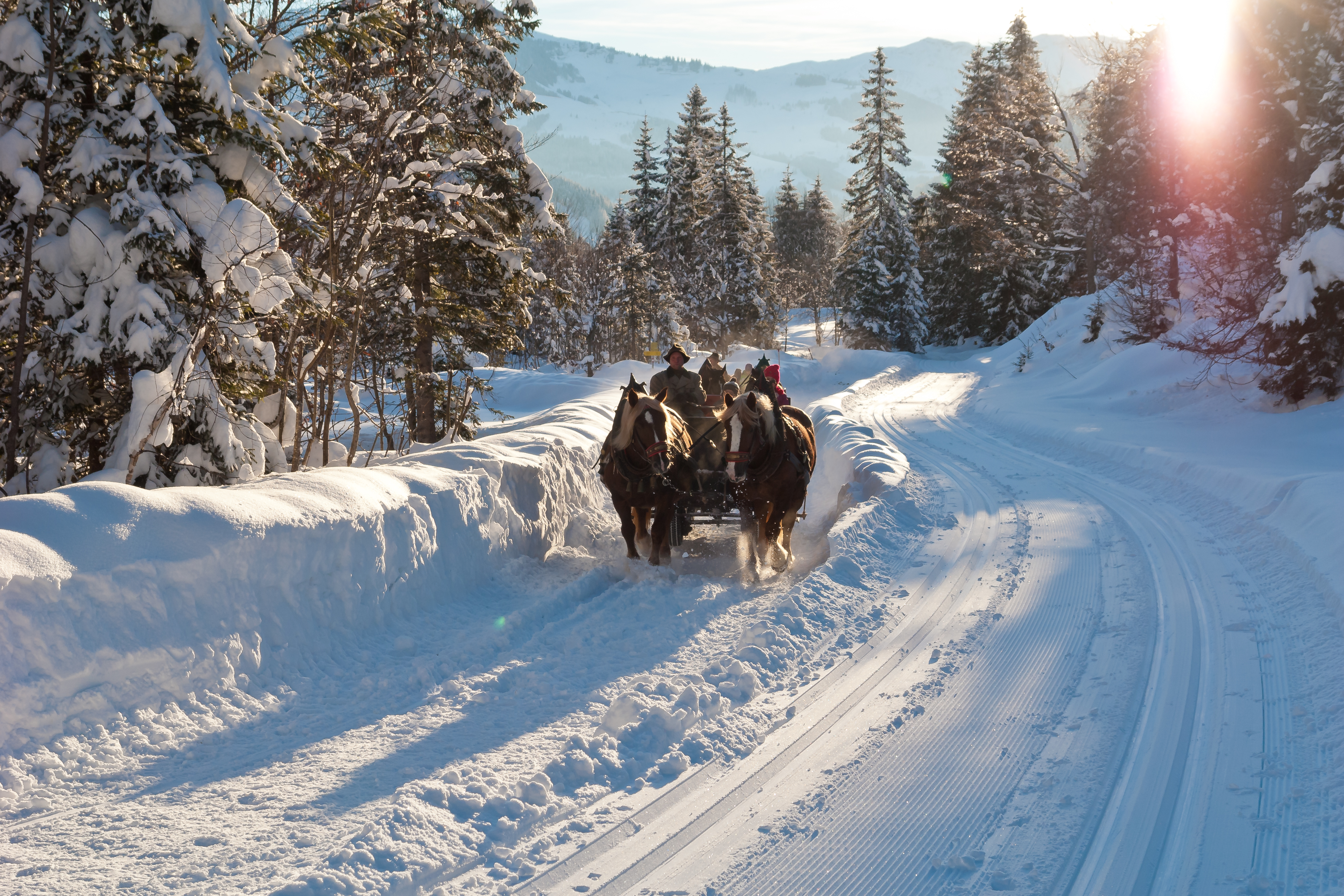 Pferdekutsche fährt in einer Schneelandschaft