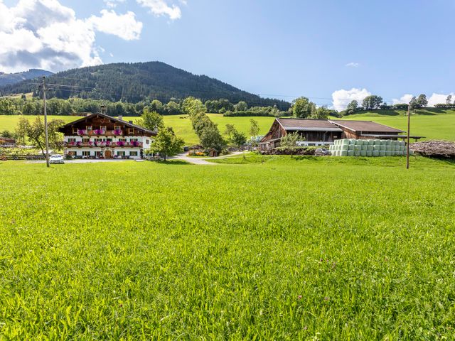 Stegerbauer